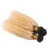 Deux tons 1b 613 Blonde cheveux humains tisse Afro crépus bouclés Ombre cheveux tisse malaisienne vierge Extension de cheveux 3 Pcs/Lot