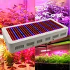 높은 품질 600W 전체 스펙트럼 LED 빛 성장 레드 / 블루 / 화이트 / 자외선 / 적외선 AC85 ~ 265V SMD5730 Led 식물 램프 2 년 보증