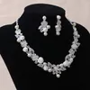 L'orecchino della collana da sposa del fiore d'argento di bellezza si adatta a 2 pezzi di gioielli per abiti da sposa gioielli da sposa P419014