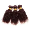 Afro Kinky Bourgogne brasilianska mänskliga jungfruliga hårbuntar Afro Kinky Curly Oprocesss Wine Red Hair Extensions 3st Lot Bourgogne Hai3654169