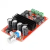 Freeshipping 100W 12V ~ 24V TPA3116D2 DUALSE KANAAL DIGITALE AUDIO-versterker Board voor Arduino High Efficiency Audio-versterker