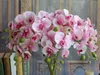 78 cm bästa simulering fjäril orkidé phalaenopsis blomma hem dekorativa blommor fest bröllop händelse dekoration varm försäljning