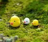 20pcs mini chick bonsai figurines fairy garden miniatures for terrariums ornament dollhouse resin craft Ecological bottle decor3793623