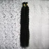 Peruwiański Dziewiczy Włosy Kinky Kręcone Pre Bonded Fusion Human Hair U Wskazówka 100g 1 G / Strand 100s Keratyn Stick Tip Human Hair Extensions Jet Black