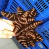 Prachtige Weave Star zwarte kleur gevuld Jerry Curly Indian raw Human Hair 4 stks/partij klitvrij