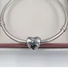 Andy Jewel Mothers Day cadeau 925 Sterling Silver Beads Mothers of the World Charm Past European Pandora Style Jewelry armbanden ketting 791112