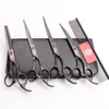 5PCS SUPPEN 7 "440C Lila Dragon Professional Husdjur Hundar Katthår Saxar Kam + Skärare + Tunna Scissor + Uppdaterade Böjda Shears Z3003