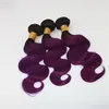 Two Tone Omber Hair Extensions Weaves 8A Peruvian Virgin Hair Body Wave Bundles Deal 1BPurple Real Remy Hair Weft Extensions 1001910657