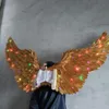 Hoge kwaliteit gouden engel veer vleugels met gekleurde lichten volwassenen 'Big Devil Wings Stage Show Shooting Wedding Props Ems gratis verzending