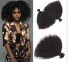 Brasilianska Human Remy Virgin Hair Afro Kinky Curly Hair Weaves Hårförlängningar Naturfärg 100g / Bunt Double Wefts 3bundles / Lot