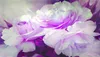 Custom elke maat paars pioen pioen floral achtergrond schilderij muurschildering 3d wallpaper 3D muur papers voor tv achtergrond