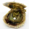 Hurtownie Natural Akoya Salt Oyster Pearls, Perły są (nieskazitelna okrągła perła) 6-7mm19 # naturalny biały