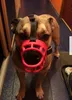 2017 Soft Silicone Strong Reflective Dog Muzzles Basket Design 6 Storlekar Antibiterande justeringsband Mask Högkvalitativ DOG5358711