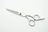 C1001 6 '' Aangepaste Logo Silvery Best Hairdressing Scissors Factory Prijs Snijden Schaar Dunner Shears Professionele menselijke haarschaar