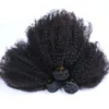 브라질의 Afro Kinky Curly 4 * 4 레이스 앞가림 (머리 묶음 4 개 세트) Lot Afro Curly Virgin Hair (레이스 클로저 포함) 무료 배송