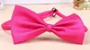 1000st/Lot Dog Apparel Pet Bow Tie Cat Tie levererar huvudbonad justerbar mix 20 f￤rger