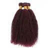 Vin rouge 99j Afro Bouclés Crépus Bouclés Extensions de Cheveux Humains Cheveux Pure Couleur Bourgogne 99j crépus bouclés Cheveux Tisse 3 Pcs/Lot Livraison Gratuite