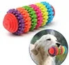 Tänder Gummi Chew Gear Toy Färgglada Pet Dog Puppy Dental Teething Toy Friska Non-Toxic G425