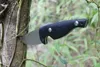 Ny ankomst toppkvalitet överlevnad rak kniv 9cr18 satin blad svart g10 handtag utomhus camping vandring jakt fasta bladknivar