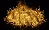 3Mx3M 300leds led curtain string light 300bulbs Star fairy lights for Christmas Wedding home garden party decoration lighting