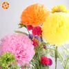 Wyprzedaż-6; 8; 10; (15 cm 20 cm 25 cm) 30 sztuk tkanki Papier Pom Poms Wedding Party Decor Papier Kwiat Do Dostaw Ogrodowych / Dekoracji ślubnej