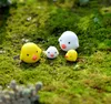 20pcs Mini Chick Bonsai Figurines Fairy Garden Miniatures For Terrariums Ornement Dollhouse Resin Craft Ecological Bottle décor1632517