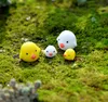 20pcs mini chick bonsai figurines fairy garden miniatures for terrariums ornament dollhouse resin craft Ecological bottle decor3793623