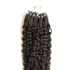 Natural Black Curly Micro Bead Hair Extensions 100g Peruansk Virgin Hair Micro Loop Kinky 1GS 100S Micro Loop 1G Curly4940776