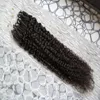 Brasilianska Virgin Hair Micro Loop Human Hair Extensions 100g Kinky Curly Micro Loop Hair Extension Micro Rings