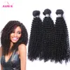 Brasiliansk Kinky Curly Virgin Human Hair Weaves Bundles Obehandlade Malaysiska Mongoliska Kambodjanska Indiska Peruvian Deep Curly Hair Extensions