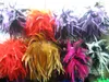 Feather hair Pony clip Feathers PIN BROOCH hair clip Hair Accessorry 30pcs/lot