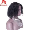 黒人女性のための変態巻きu部分のウィッグのバージンブラジル人の髪の毛のための中間部分2x4 upartレースのかつらのひずみの自然色熱い販売