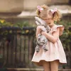 Retail Ins 2017 Summer New Girl Dress Pink Lace Flare Sleeve Cotton Princess Mini Dress Children Clothing 16Y EG003273I5890246