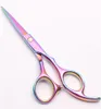 C1005 6 '' Customized Brand Multicolor Hairdressing Sax Fabrikspris Skärning Saxar Tunna Shears Professionella Human Hair Scissors