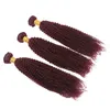 Brazilian Virgin 99j Afro Kinky Curly Hair Weaves 3Pcs lot For Black Woman Burgundy Kinky Curly Hair Weft Extension 1030 inch728358001723