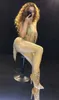 Gold Tassel Rhinestones Bodysuit Sexy Stage Wear DJ Dancer Pole Pole Dance Fringe Crystal Leotard Costum