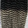 Grå hår vävbuntar 4st 4pcs brasilianska lockigt jungfru hår dubbla väft t1b / grå ombre brasilianskt hår 400g