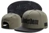 Toptan 1PCS CaylerSons Snapback beyzbol şapkaları kapakları Snapbacks Moda şapka Snapback şapka renkli Snapback şapka Topu Caps Erkek Şapka ve kep