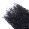 Brezilyalı Kinky Curl İşlenmemiş İnsan Bakire Saç Dokumaları Remy İnsan Saç Uzantıları Boyan 3 Bundles7183689