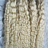 Blond Brazylijskie włosy Kinky Curly U Tip Hair Hair Extensions Human 200g 1Gstrand Keratin Capsules Fusion Hair Extension5139954121434