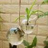 Set di 2 piante di vetro in vetro a forma di zucca in sospeso Terrario di piantatore di contenitori per la casa per la casa1394395