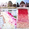 Dekoracja urodzin 1000 jedwabnych płatków róży kwiat konfetti zaręczyny