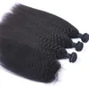 Afro Kinky Straight Brazilian Hair Bundles With Closure Human Hair Weaves Closure 4x4 Free Part Natural Color 1B Black