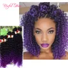 Hot Sälj Deep Wave Bundlar Brasilianska Kinky Curly Hair Weaves Marley Sy i hårförlängningar Blond Extensions Burgundy Color Weave Bundles