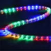 LED -stroken 100m 2 draadronde LED -touwlichten kristalhelder PVC Tube IP65 Waterbestendige flexibele vakantie kerstfeest Decoratieverlichting