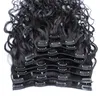 Wet And Wavy Clip Indian Human Hair Extensions Cheap Full Head Clip In Hair Extensions Water Wave 10pcsset 120gset 9860152