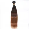 Peruvian Straight Human Hair Remy Hair Weaves Ombre 3 Tones 1B/4/30 Color Double Wefts 100g/pc Can Be Dyed Bleached