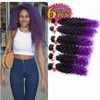 고품질 6pcslot 합성 직조 머리카락 연장 Jerry Curly Ombre Brown Kanekalon Deep Crolly Crochet Purple Brawiding Hair FO7879069