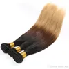 Ny ankomstfärg 1b / 4/27 Ombre hår vävar brasilianska raka mänskliga hårförlängningar 100g / bit remy hårbuntar