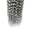 Grå hår väv Brasiliansk Kinky Curly Hari Silver Grå Human Hair Weave 100g Brasilianska Kinky Curly Virgin Grey Hair Extensions 1pcs